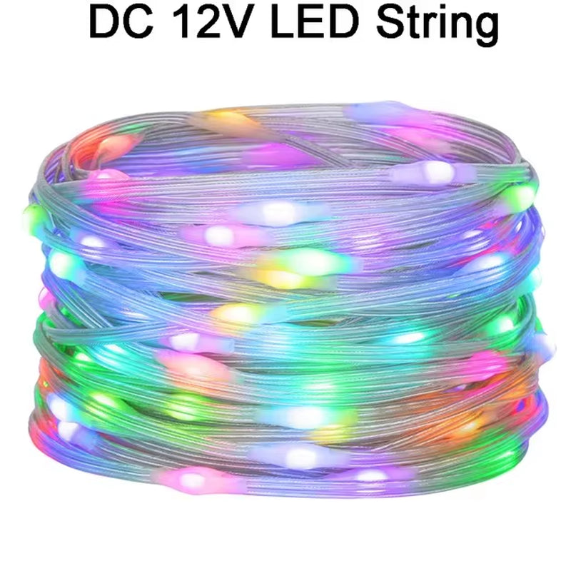WS2812B LED String RGB Dream Color Birthday Decoration Party Lights Room Led Light Addressable Individually Waterproof IP67 DC5V