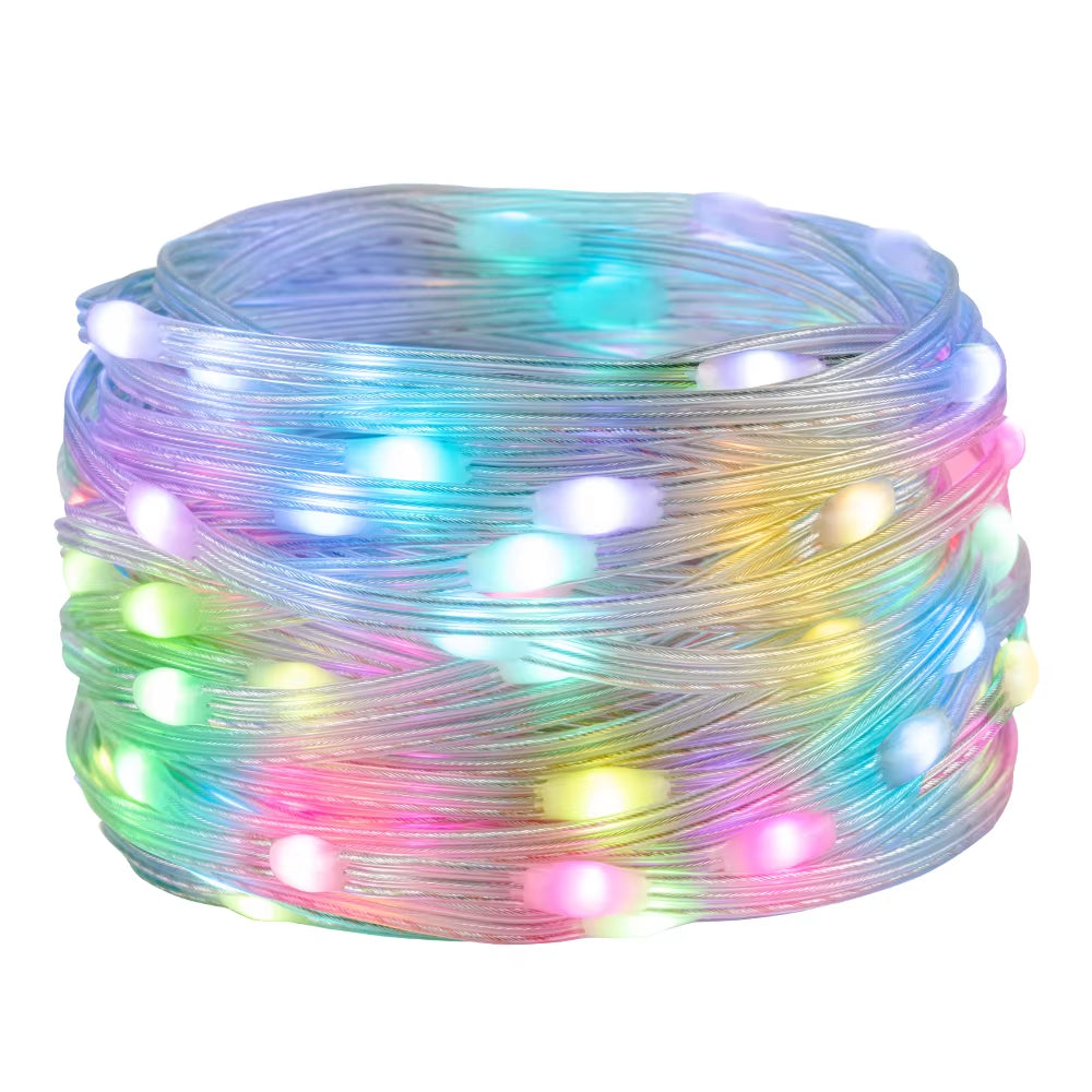 WS2812B LED String RGB Dream Color Birthday Decoration Party Lights Room Led Light Addressable Individually Waterproof IP67 DC5V