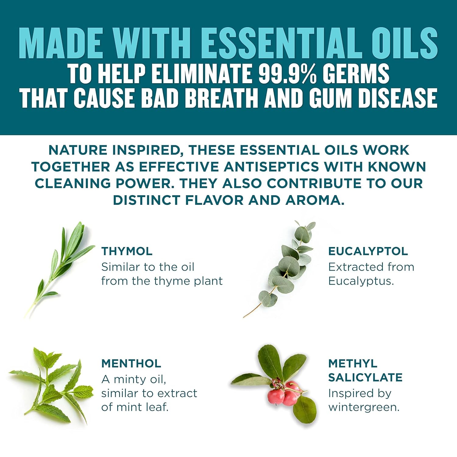 Ultraclean Oral Care Antiseptic Mouthwash, Everfresh Technology to Help Fight Bad Breath, Gingivitis, Plaque & Tartar, Ada-Accepted Tartar Control Oral Rinse, Cool Mint, 1 L